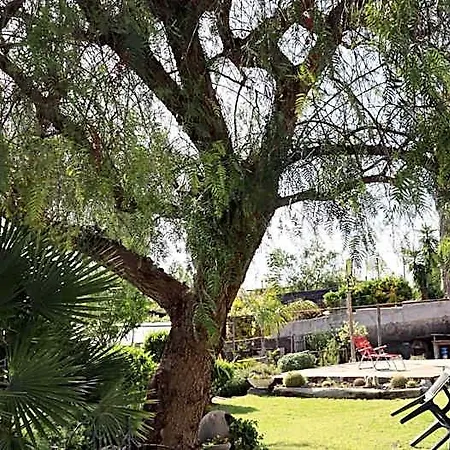 Enchanted Garden A Stones Throw From The Center Hotel Pompei